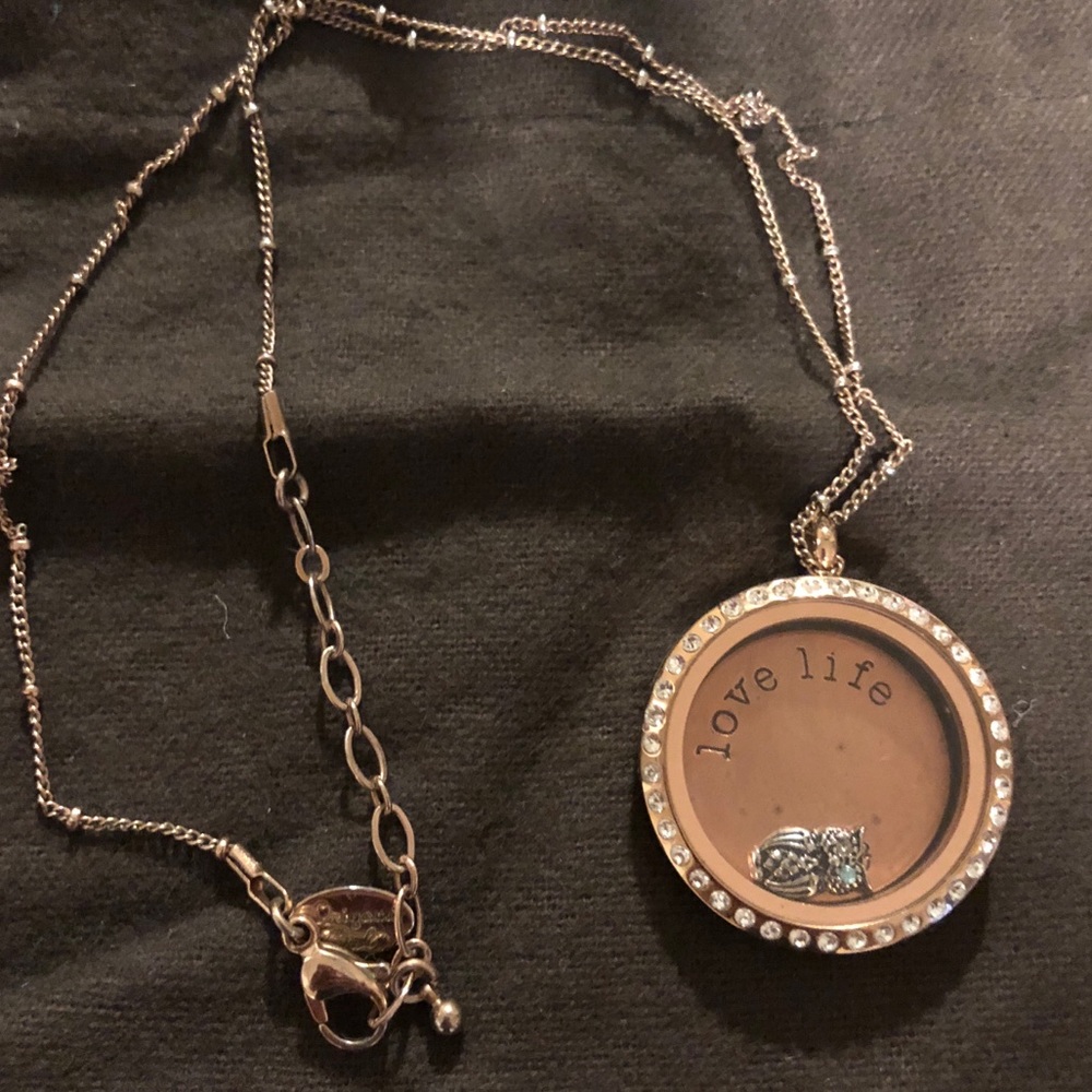 Origami Owl necklace with plate and charm